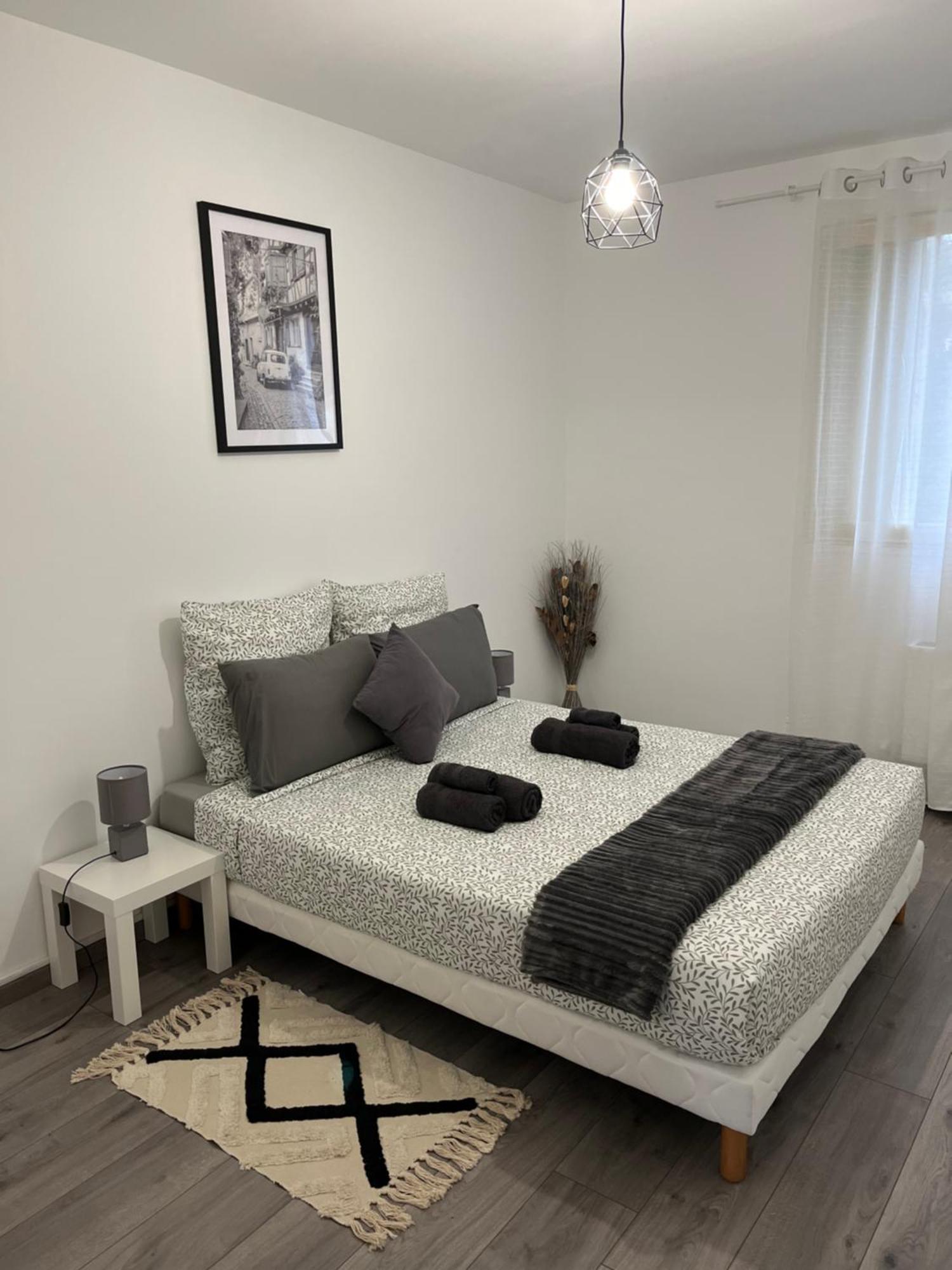 Appartement Renove - Vandoeuvre Les Nancy Exterior foto
