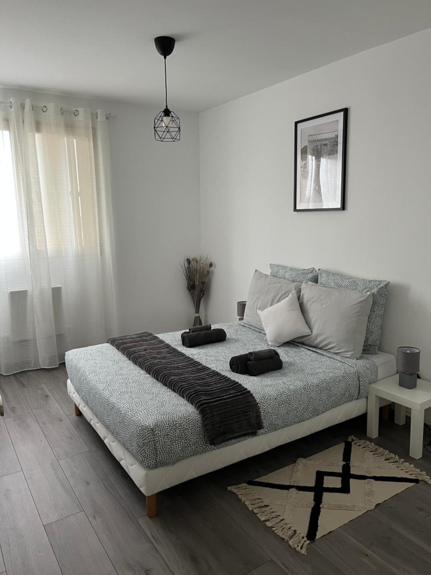 Appartement Renove - Vandoeuvre Les Nancy Exterior foto