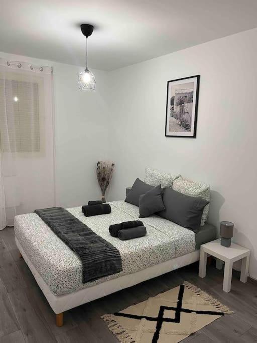 Appartement Renove - Vandoeuvre Les Nancy Exterior foto